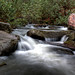 David Pickens Photo 28
