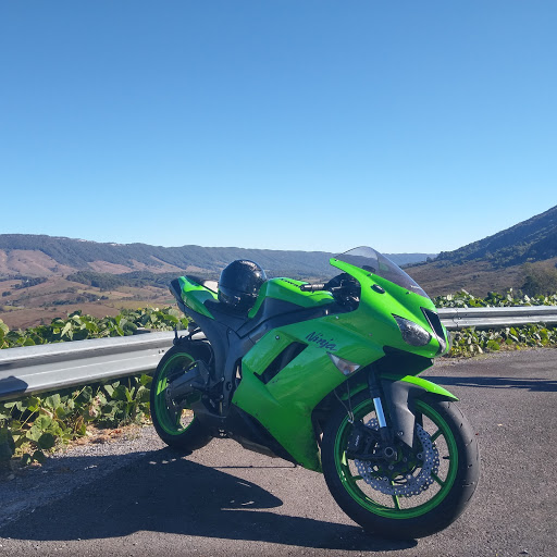 Ernesto Lopez Photo 10