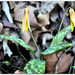 Nancy Olmstead Photo 30