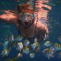 Donna Power Photo 29