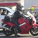 Jayne Rodriguez Photo 16
