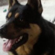 Dexter Charles Photo 20
