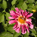 Michelle Rutherford Photo 15