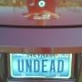 John Elder Photo 45