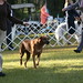 Carol Snodgrass Photo 10