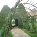 Rose Bower Photo 22