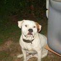 James Renfroe Photo 19