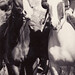 Harry Todd Photo 22