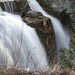Walter Bruce Photo 36
