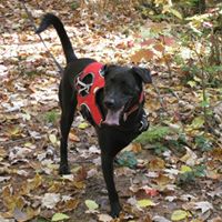 Janice Straub Photo 6