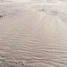 Veronica Bartley Photo 10