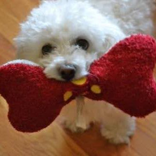 Brenda Barnes Photo 7