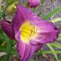 Christine Mason Photo 22