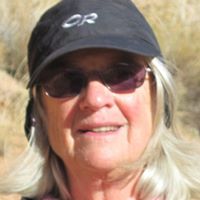Carol Craven Photo 3