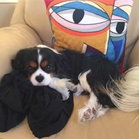 Debra Diaz Photo 33