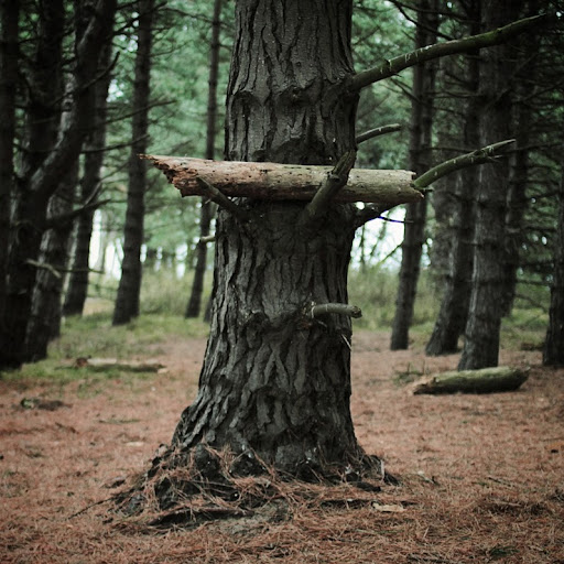 Andrew Gooch Photo 33