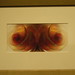Barbara Stark Photo 24