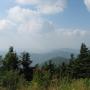 Teresa Treadway Photo 17
