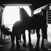 Aaron Dement Photo 8