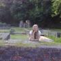 Connie Fife Photo 14