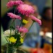 Jon Skaggs Photo 33