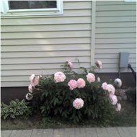 Carole Erickson Photo 29