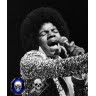 Curtis Mayfield Photo 9