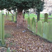 Thomas Cottingham Photo 10