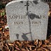 Dorothy Clark Photo 10