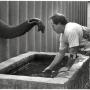 John Bergmann Photo 29