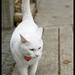 James Evers Photo 14