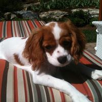 Debbie Worley Photo 14