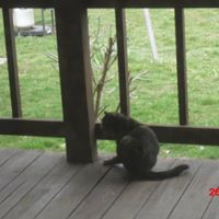 Carla Carr Photo 11