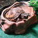Jason Herman Photo 21