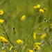 Leigh Meadows Photo 11