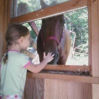 Amy Woodard Photo 38