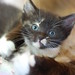 Ruth Pickett Photo 16