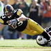 Raymond Sapp Photo 8