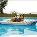 Brandi Smart Photo 15