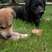 Henry Simon Photo 10