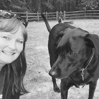 Sheri Snyder Photo 16