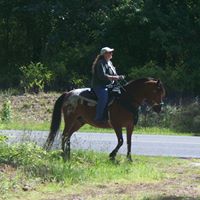 Robin Littleton Photo 4
