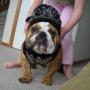 Anna Bork Photo 5