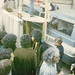 Al Grossman Photo 10