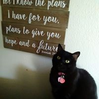 Heather Hoppe Photo 6