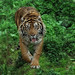 Isaias Calderon Photo 12