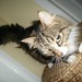 Basil Richmond Photo 4