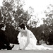 Shelley Michael Photo 17