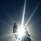 Hayat Saad Photo 3