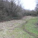 Jonathan Heath Photo 12